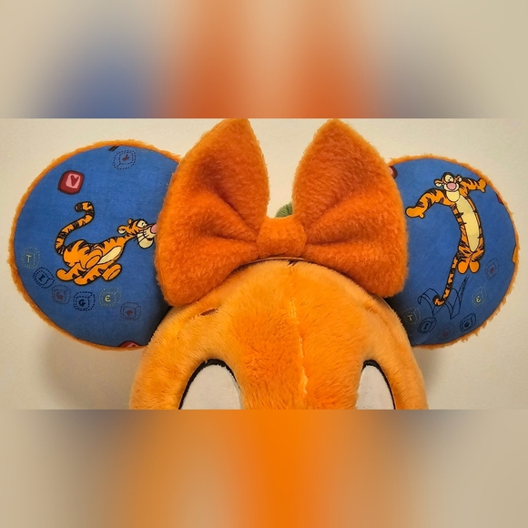 ?️? Tigger Mouse Ears ?